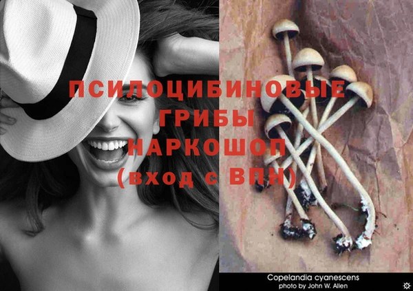 кокаин VHQ Каменск-Шахтинский