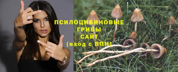 бутират Каменногорск