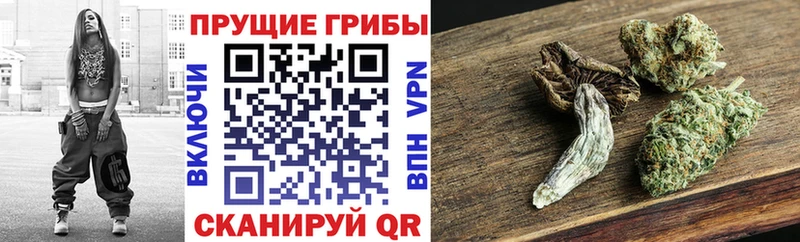Галлюциногенные грибы Magic Shrooms Купить где Яранск